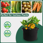 5 Pack 3 Gallon Fabric Grow Bags, Heavy Duty 300G Thickened Aeration Nonwoven Fabric Garden Pots with Handles, Planting Bag for Tomato, Potato, Strawberry, Vegetable, Fruits and Flowers