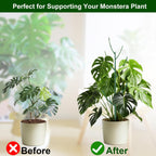 5 Pack Stackable Monstera Plant Support Stakes for Indoor & Outdoor Plants, Garden Accessories for Climbing & Potted Plants, Plant Sticks for Vine Training & Stem Stabilization