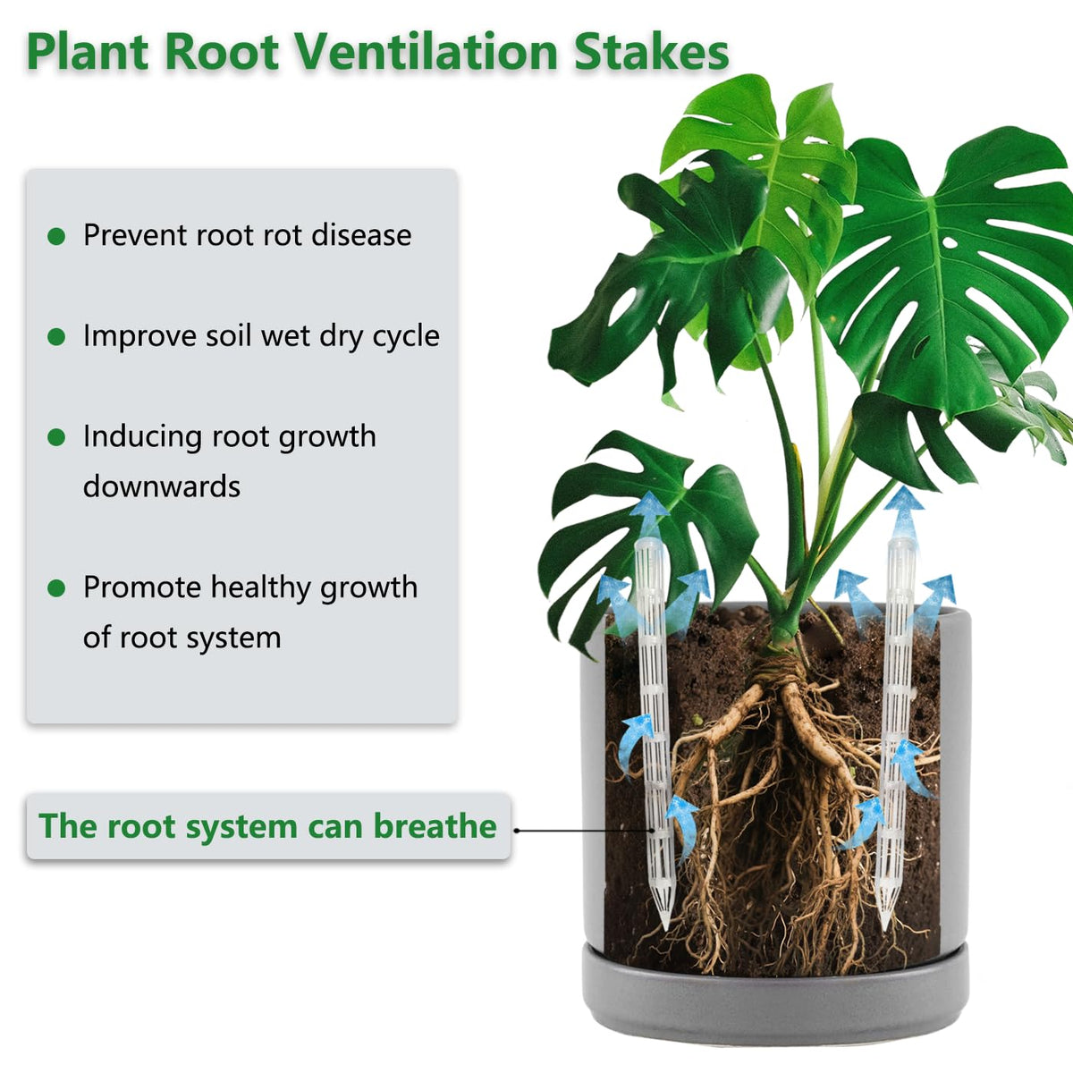 Belit 8 Pcs Plant Root Ventilation Stakes, Breathable Stake Beneficial for Root Respiration, Potted Plants Prevent Root Rot
