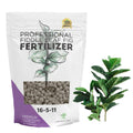 Fiddle Leaf Fig and House Plant Fertilizer Pellets |16-5-11 Slow Release Pellets for Seedlings and Mature Houseplants | Multi-Purpose Blend & Gardening Supplies| 5.2 oz Resealable Packaging