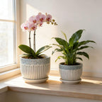 FOLKLORE13 Vintage Flower Pots for Indoor Plant, Round Ceramic Plant Pots with Drainage Holes and Saucers, 6.7/5.2/3.9 Inches Retro Flower Planters Set of 3