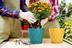 7 Inch Plant Pots 5 Pack, Flower Planters with Drainage Holes and Trays,Plastic Pots for Indoor Outdoor Plants,Multicolor