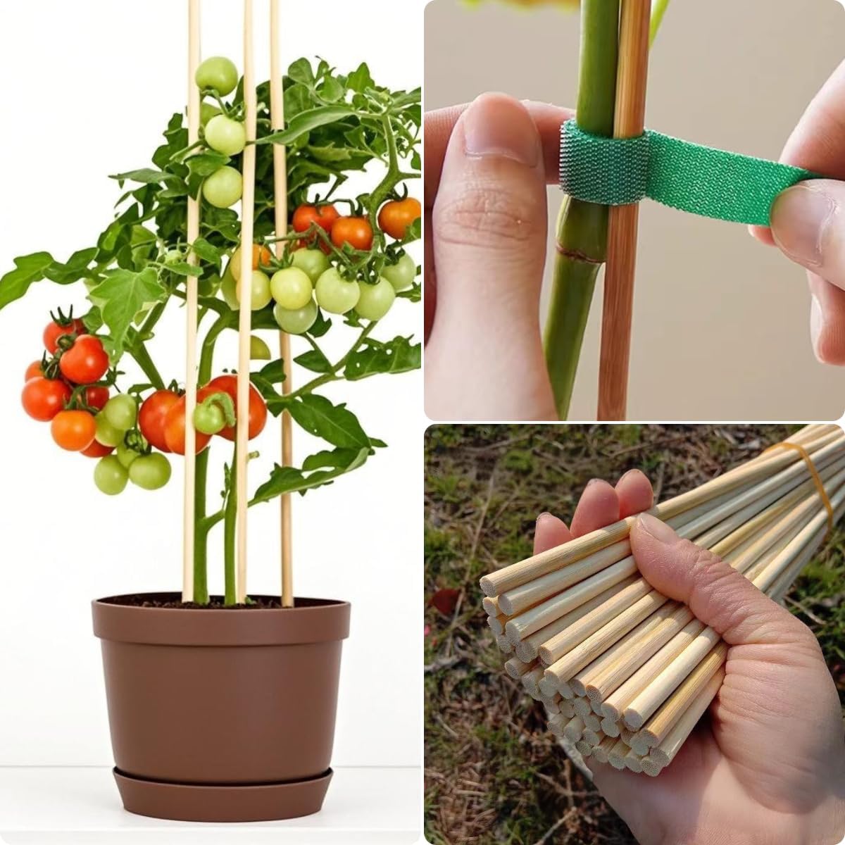 100 PCS 3FT Bamboo Plant Stakes 6.3mm Thick – 36-Inch Bamboo Sticks for Plants, Tomatoes, Beans, Climbing Plants – Smores Sticks & Marshmallow Sticks for Fire Pit and Campfire – VESYMAN