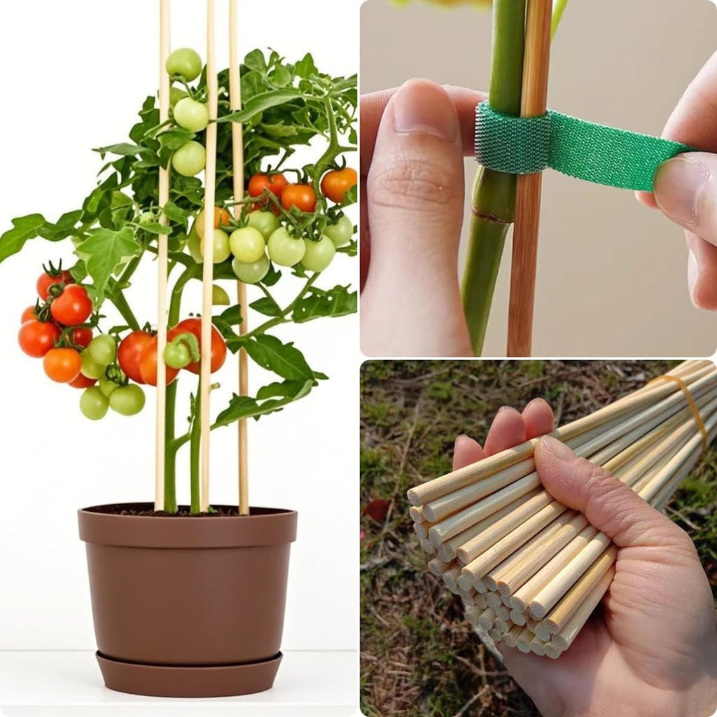 100 PCS 2FT (24 Inch) Bamboo Plant Stakes – Natural Bamboo Sticks for Indoor & Outdoor Plants – Garden Stakes & Plant Support Stakes for Tomato, Beans, Climbing Plants & More – VESYMAN