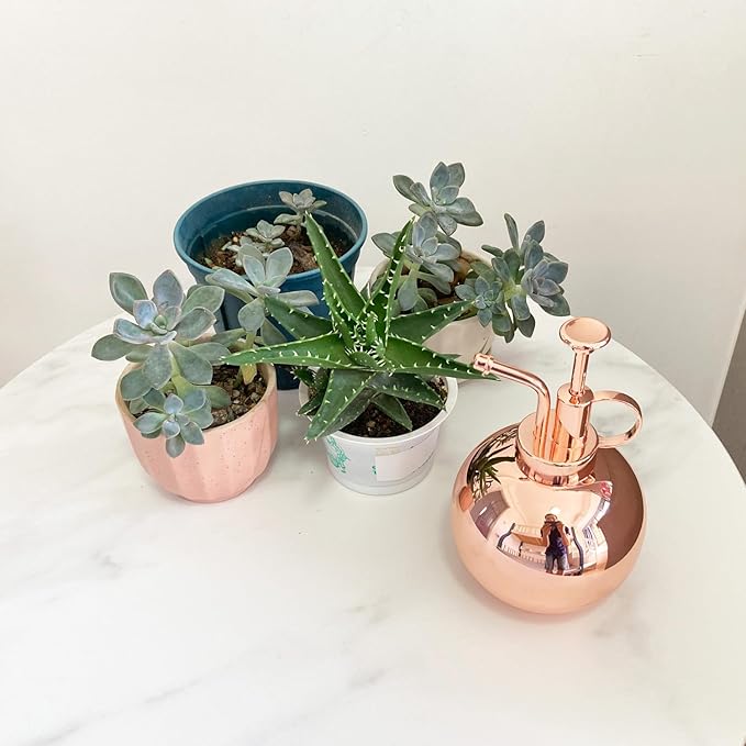 Stainless Steel Plant Sprayer, Small Watering Can Plant Misting Bottle, Modern Gardening Tools for Indoor Potted Plants Watering and Misting