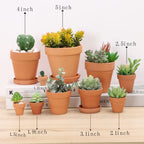 Yishang 2.5 inch Terracotta Pots with Drainage Holes,Small Mini Clay Ceramic Pottery Planter,Cactus Flower Terra Cotta Pots,Succulents Nursery Pots for Indoor/Outdoor Plants,Crafts,Wedding-12 Pack