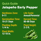HOME GROWN Jalapeno Pepper Seeds – 258 𝗡𝗢𝗡-𝗚𝗠𝗢 𝗨𝗦𝗔 Heirloom Seeds (Capsicum annuum) – High Germination, Easy to Grow, Early Harvest Hot Peppers