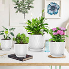LESOASIS Plastic Plant Pots 10/9/8/7.5/7 inch Set of 5, Flower Planters with Drainage Holes and Saucers, Plastic Pots for Indoor Outdoor Plants, Livingroom Garden Decor (White)