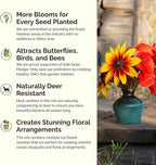 Eden Brothers North Carolina Wildflower Mixed Seeds for Planting, 1/4 lb, 120,000+ Seeds with Cornflower, African Daisy | Attracts Pollinators, Plant in Spring or Fall, Zones 3, 4, 5, 6, 7, 8, 9, 10