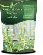 Outsidepride Buckwheat Seeds - 20lbs Annual, Fast-Growing, Easy to Grow Buckwheat Cover Crop Seeds for Green Manure, Bee Pasture & Pollinators, Wildlife Habitat, Soil Improvement, and Erosion Control