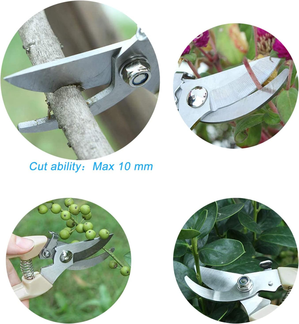 Curve Gardening Scissor with Sharp Stainless Steel Blade Garden Shears for Cutting Flowers Trimming Plants of Yard Florist Flower Rose Herb Hedge Bonsai and Fruits Picking