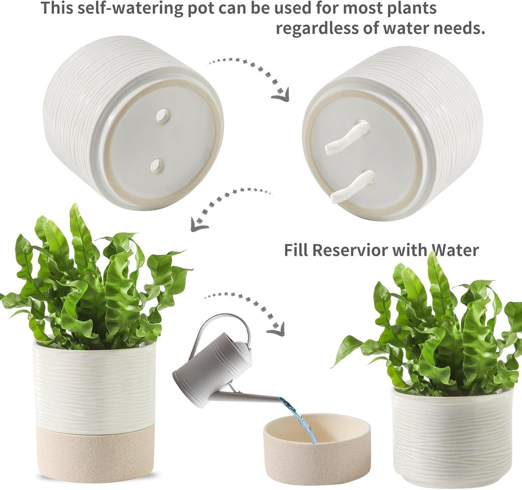 Nihow Self Watering Plant Pot: 4.5 Inch Ceramic Planter with Drainage Hole & Water Storage Plus for Indoor & Outdoor Plants - Cylinder Flower Pot for Herbs/Violets - White & Brown