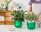 Melphoe 2 Pack Self Watering Hanging Planters Indoor Flower Pots, 6.5 Inch Outdoor Hanging Basket, Plant Hanger with 3Hooks Drainage Holes for Garden Home (Emerald)