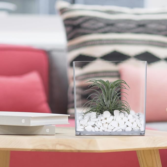 Acrylic Cube Vases Set of 3, Clear Square Vases, Shatterproof Flower Vase Decorative Centerpiece for Home, Wedding, 4”+5”+6”