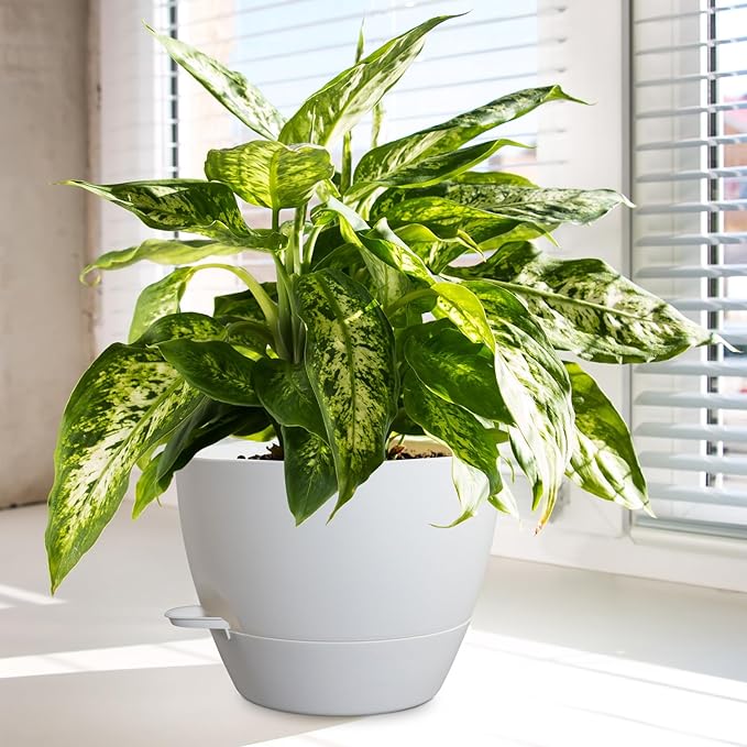 10/9/8 inch Medium Self Watering Pots, Plant Pots with Mesh Drainage Holes for Indoor Outdoor Garden Plants, Flower Pots with Removable Reservoir, Set of 3 Plastic Planters, White