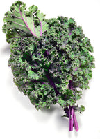 Todd's Seeds Red Russian Kale Seed - 1 Pound