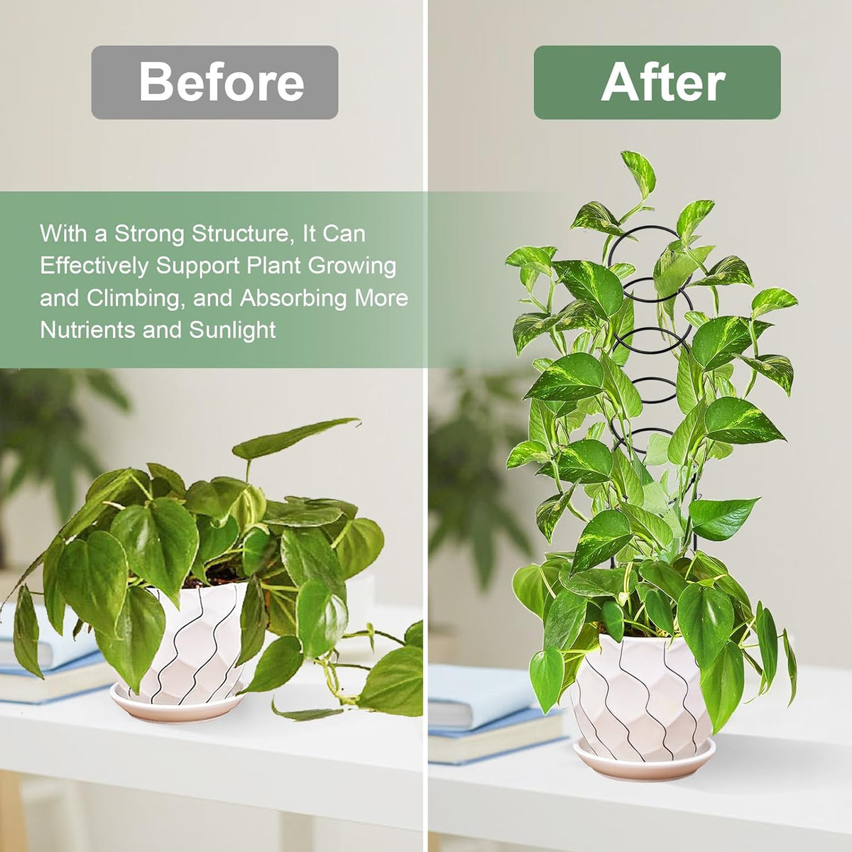 17.5 Inch Plant Trellis Indoor for Climbing Plants,Metal Trellis,Small Garden Trellis for Potted Plants,Plant Stakes for Indoor Plants Accessories Hoya,Flower,Plant Support,Plant Gifts(Circular-Metal)