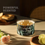 4-Wick Scented Candle - 18oz Soy Wax Blend Candle Over 50Hrs Long-Lasting Fragrance, Home Decor and Housewarming Gifts, Sage & Moss