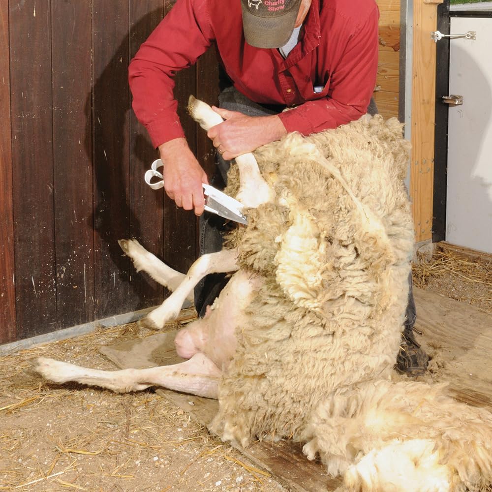 Premier 1 Triple Ground Hand Shear for Wool Sheep & Livestock - 6.5" Blade