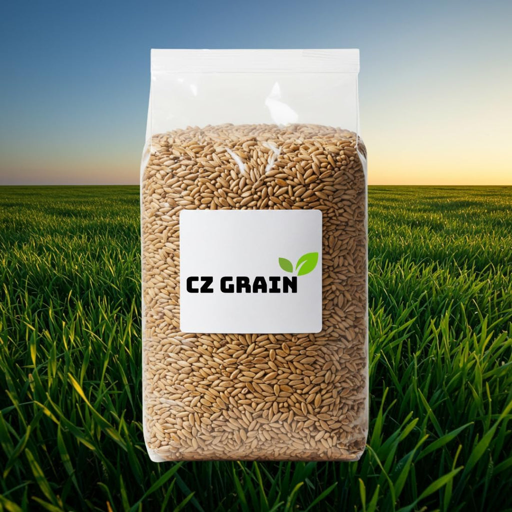 Rye Grain Seeds – 5 lbs – Open-Pollinated Cover Crop and Forage Mix for Soil Improvement, Erosion Control, and Deer Food Plots