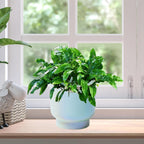 LB Blue Ceramic Planters for Indoor Plants, Succulent Plant Pots Ceramic Plant Pot, Modern Flower Pots for Living Room Office Home Decor, Round Flower Pot of 4.3 Inch(Plant Not Included)