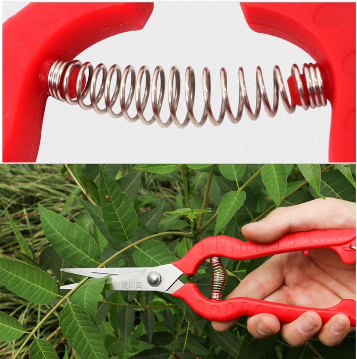 Extra Short Edge Stainless Steel Pruning Shears Fruit Trees Bonsai Sharp Garden Scissors Tool