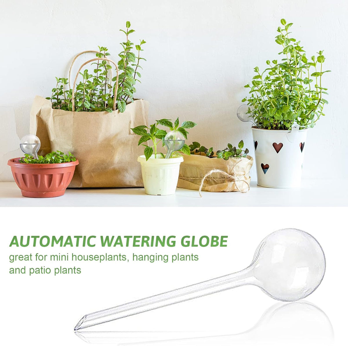 8 Pcs Clear Plant Watering Globes,Plastic Self Watering Bulbs Ball,Garden Water Device for Plant Indoor Outdoor(Small)