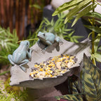 Bird-Feeder Wild Birdbath Bowl Outdoors - Garden Decor Birdfeeder for Outdoor Polyresin Frogs on Leaf Bath Bowl for Outside Yard Table Decor 12 x 7.25 x 3.5 inch Newman House Studio