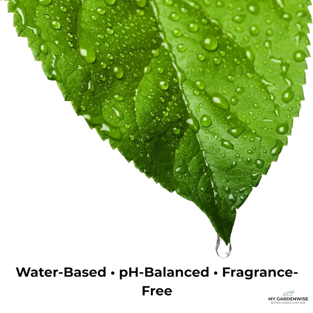 Leaf Shine Spray for Indoor Plants – Plant Leaf Cleaner & Shine for Real House Plants – Fragrance-Free, Non-Sticky, Streak-Free Finish, 16 fl oz