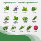 25 Culinary Herbs & Edible Flower Seed Variety Pack for Planting Indoor & Outdoors. 11900+ Non-GMO Heirloom Flower Seeds: Basil, Borage, Echinacea, Lavender, Oregano, Rosemary Seeds & More