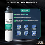 iSpring SGS-Tested PFAS Removal Carbon Block Replacement Water Filter Cartridge FCPFDS for DS4 Series