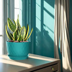 12/10/9 Inch Plant Pots, 3 Pack Large Flower Pots for Indoor and Outdoor Plants with Water Ripples, Large Plastic Flower Pots with Drainage Holes and Tray for Garden Indoor Plants