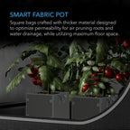 AC Infinity Square Heavy Duty Fabric Pots, 5 Gallon Aeration Reusable Grow Bags 5-Pack with 500G Thick Nonwoven Fabric and Plant Stake Loops, for Garden Growing Fruits, Vegetables, and Flowers
