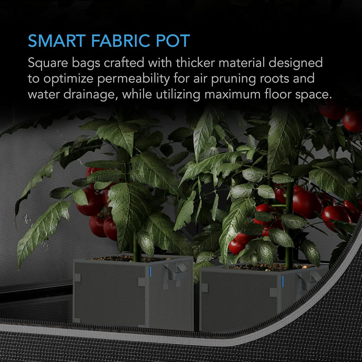 AC Infinity Square Heavy Duty Fabric Pots, 5 Gallon Aeration Reusable Grow Bags 5-Pack with 500G Thick Nonwoven Fabric and Plant Stake Loops, for Garden Growing Fruits, Vegetables, and Flowers