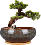 8 Inch Ceramic Bonsai Planter Pot, Glazed Shallow Succulent Planter with Drainage Hole and Bamboo Saucer for Indoor Plants, Green