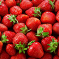 Albion Everbearing Strawberry Plants - Fruit Very Firm, Sweet, High Yields (30 Plants) Can Not Ship to California.