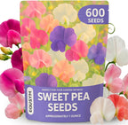 600+ Count Sweet Pea Seeds – Fragrant Flower Seeds, Easy to Grow with High Germination, Colorful Flowering Vines for Trellis, Garden Beds, Balcony, and Patio Planter