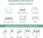 EGO 8 Inch Full Memory Foam Mattress - Green Tea & Cooling Gel, Medium Firm, CertiPUR-US Certified, Double Mattress, 54"x75", White