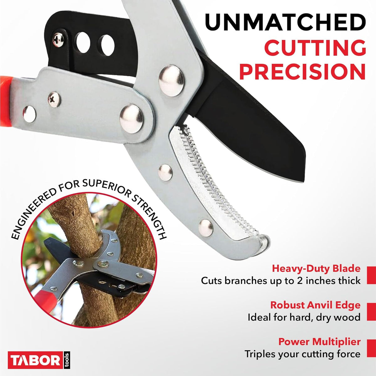 TABOR TOOLS GG22A Telescopic Extendable Anvil Lopper with Compound Action, 27-40 Inch Telescopic Tree Trimmer, Long Handled Branch Cutter with ⌀ 2 Inch Cut Capacity, Chops Thick Branches with Ease.