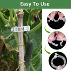 200 Pcs Plastic Trellis Plant Support Clips for Support, Grape and Tomato Vine, Vegetables Plants, Garden Clips to Grow Upright Makes Plants Healthier