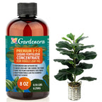 Premium Liquid Fiddle Leaf FIG Plant Fertilizer - 3-1-2 Concentrate for Indoor Plants and Flowers by Gardenera | Organic Plant Food for Fiddle Leaf Fig - 8oz