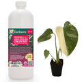Gardenera Premium Liquid Thai Constellation Fertilizer - 3-1-2 Concentrate for Indoor Plants and Flowers - 32oz
