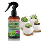 Gardenera Professional Succulent Spray Fertilizer Mist for Home Gardening | 3-1-2 Gentle Blend Mist for Healthy Leaves & Growth | Essential Nutrients for Succulent and Cacti - 8oz