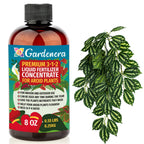 Premium Liquid AROID Plant Fertilizer - 3-1-2 Concentrate for Indoor Plants and Flowers by Gardenera | Organic Plant Food for AROIDS - 8oz
