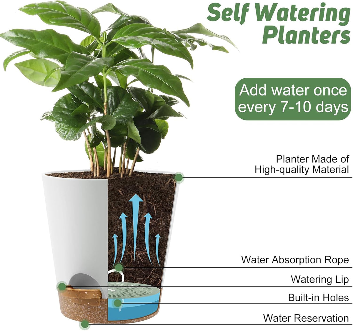 8-Inch Plant Pots, Self-Watering Planters with Drainage Holes & Saucers for Indoor and Outdoor Plants (2-Pack, White)