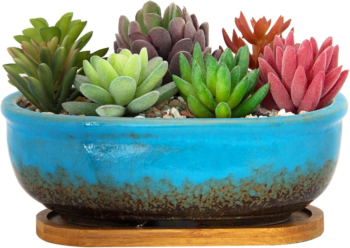 Succulent Pots, 7.9 Inch Long Rectangular Succulent Planters with Drainage Tray, Shallow Planters for Indoor Plants Ceramic Cactus Pots Glazed Bonsai Flower Plant Container for Home Windowsill Decor