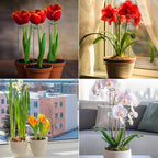 4 Pack Plant Support Stakes, 16/32 Inch Garden Stakes for Plants, Plant Accessories with 50 PCS Twist Ties for Indoor Outdoor Potted Tomato Vegetables Amaryllis Monstera Rose Peony Marigold