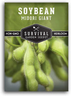 Midori Giant Soybean Seeds for Planting - Grow Protein-Rich Edamame Pods in Your Home Vegetable Garden - Non-GMO Heirloom Soy Bean - Survival Garden Seeds (1 Pack)
