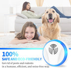 Ultrasonic Pest Control Repeller Indoor Plug in for Rodent Control, Mosquito Repellent, Cockroach Killer, Spider Deterrent, Electronic Mice Repellent (6, White)