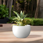 Kante 15.7" Dia Round Concrete Planter, Outdoor/Indoor Large Bowl Plant Pots with Drainage Hole and Rubber Plug for Garden Patio Balcony Home, Pure White